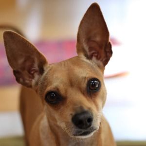 Meet your Posher, Solarmarket3